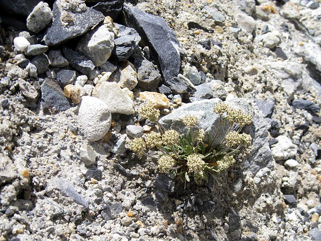 img00003.jpg