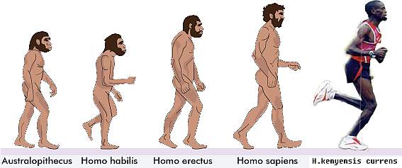 Evoluce lovka bhavho