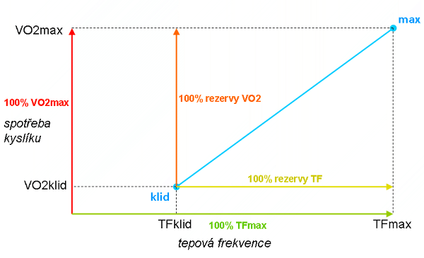 Vyjad�ov�n� intenzity pomoc� TF a VO2