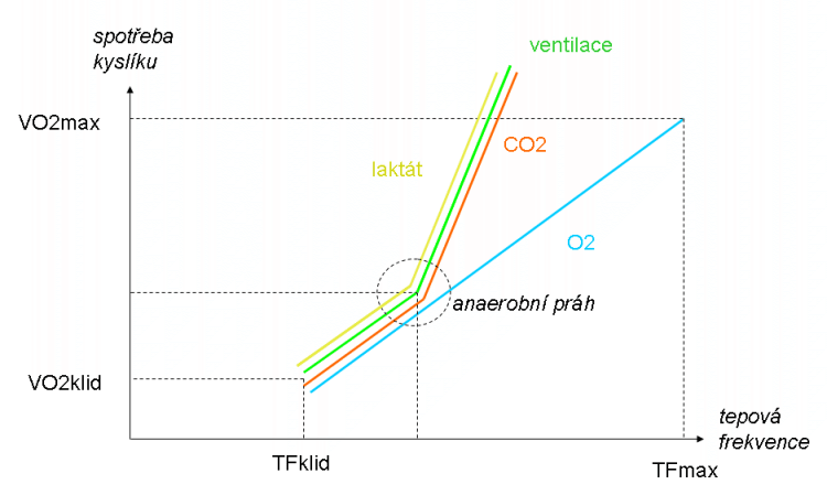 spot�eba kysl�ku
