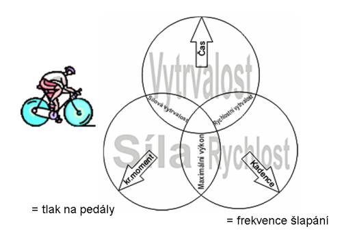 pohybov� schopnosti